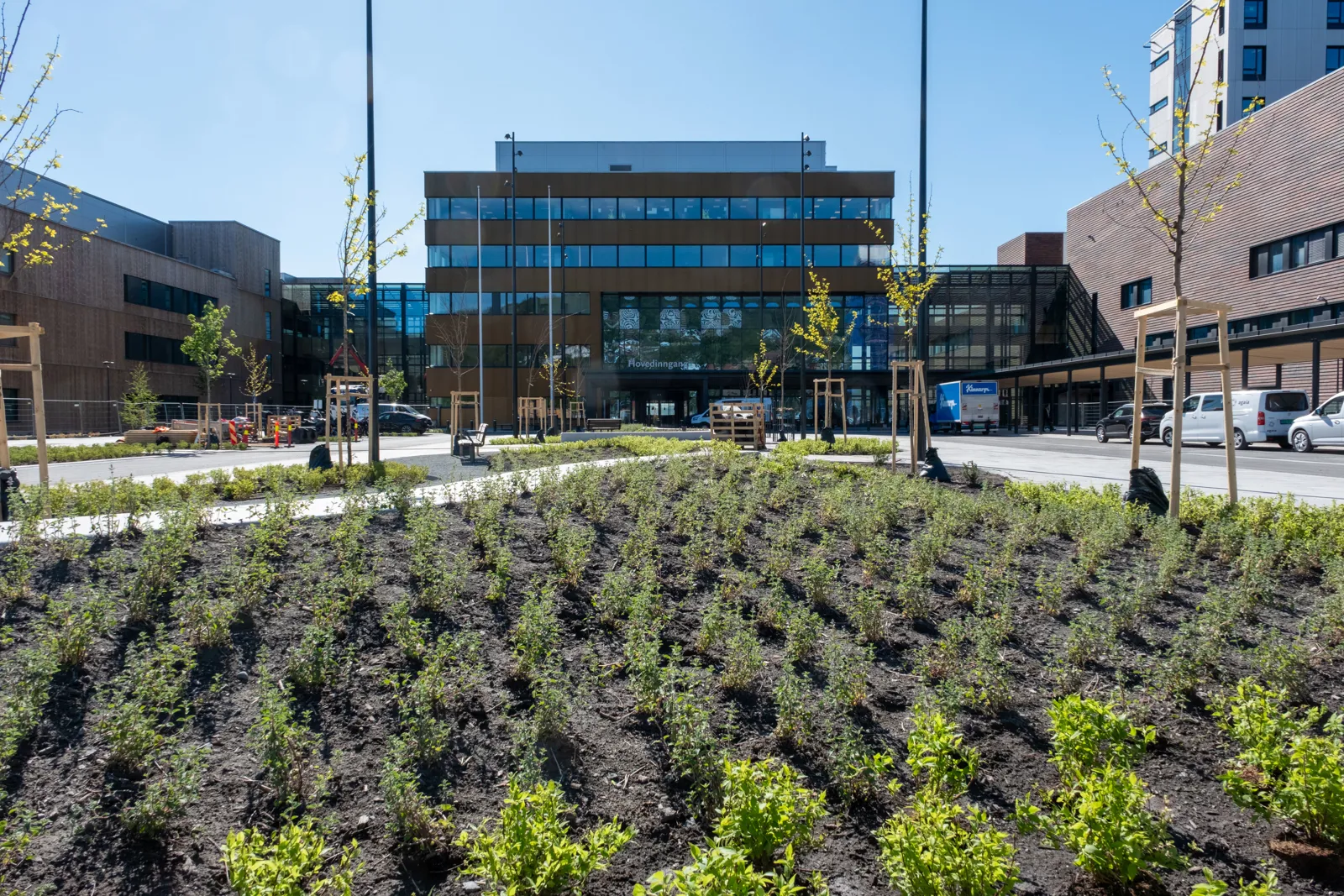 En bygning med mange planter foran seg