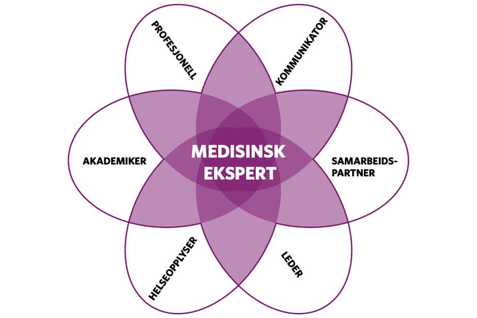 Diagram, venn-diagram