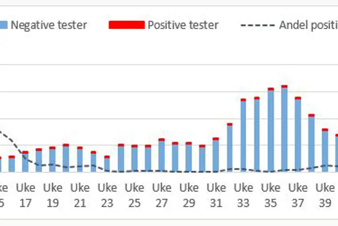 grav for å vise antall tester