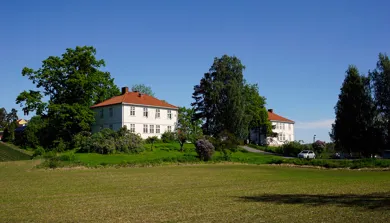 En stor grønn plen med trær og et hvitt hus i bakgrunnen